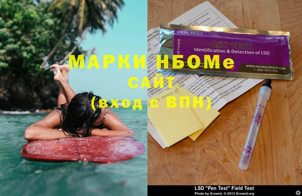 ГАЛЛЮЦИНОГЕННЫЕ ГРИБЫ Аркадак