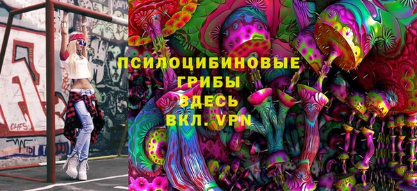 ГАЛЛЮЦИНОГЕННЫЕ ГРИБЫ Аркадак