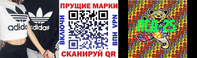 где купить Покачи Марки NBOMe 1500мкг